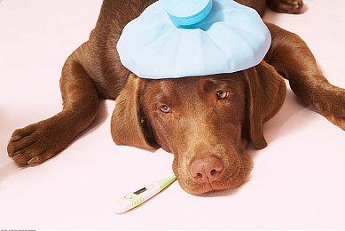 传闻：索尼已在设计PS6 Mark Cerny继续主导